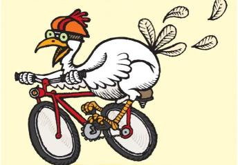 chicken-on-bike1.jpg