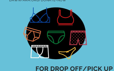 Bra & Underwear Drive