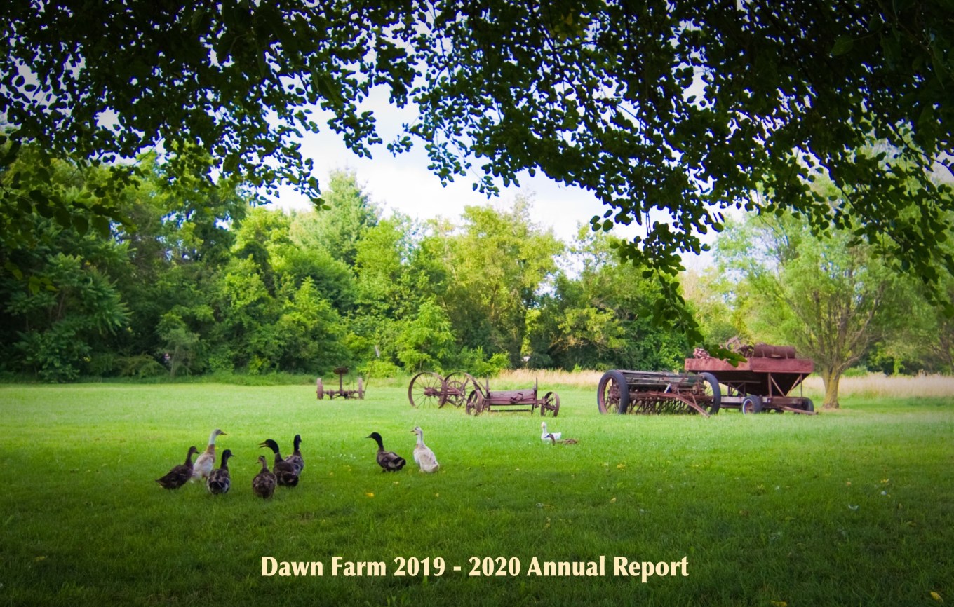 2019-20 Annual Report