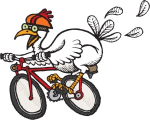 chicken-on-bike, white